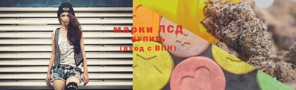 стаф Медвежьегорск