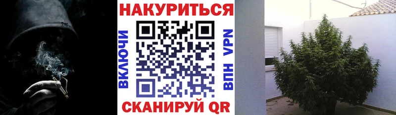 Конопля семена Юхнов